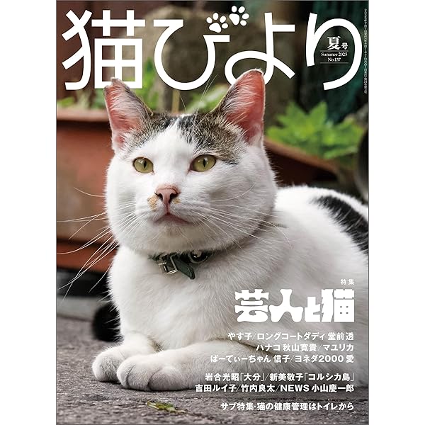 猫びより　2001年　2002年　2003年　3年分まとめて 猫びより 猫びより 春号 (発売日2024年03月12日) | 雑誌/定期